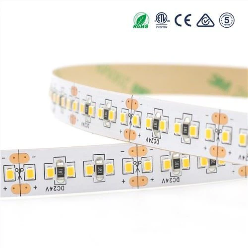 2216 Striscia LED flessibile 120led/m
